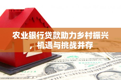谢岗农业银行贷款助力乡村振兴，机遇与挑战并存