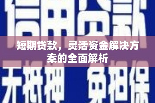 新兴短期贷款，灵活资金解决方案的全面解析