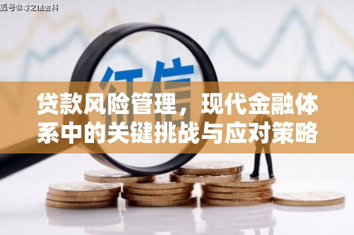 三峡贷款风险管理，现代金融体系中的关键挑战与应对策略