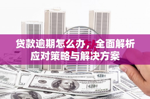 会理贷款逾期怎么办，全面解析应对策略与解决方案
