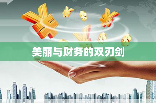 临沂美丽与财务的双刃剑