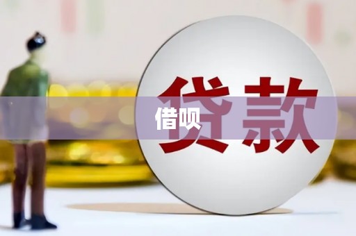 新泰借呗