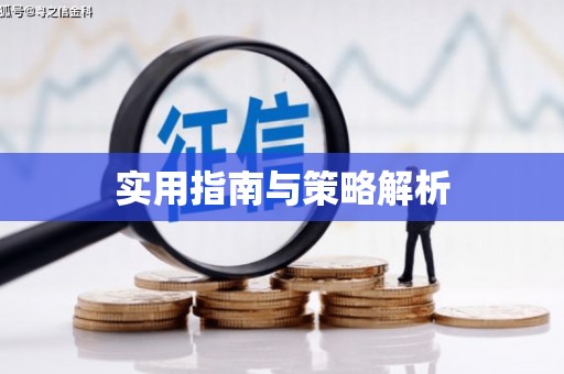 子洲实用指南与策略解析