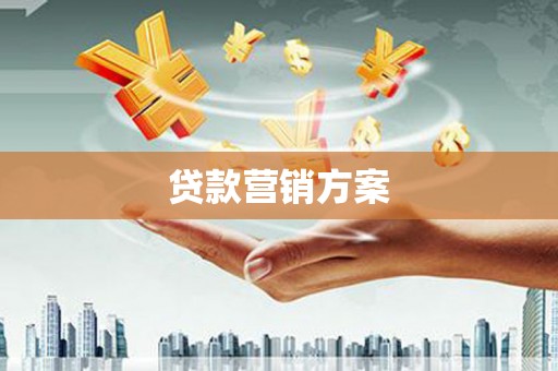 大东贷款营销方案