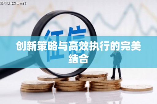 小金创新策略与高效执行的完美结合