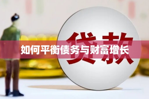 巴里坤如何平衡债务与财富增长