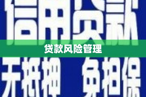 岱岳贷款风险管理