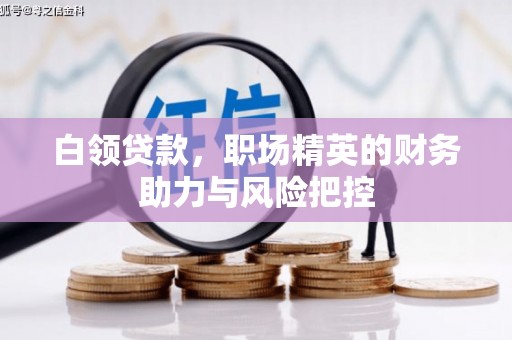 南化白领贷款,职场精英的财务助力与风险把控 南化白领贷款,职场精英的财务助力与风险把控